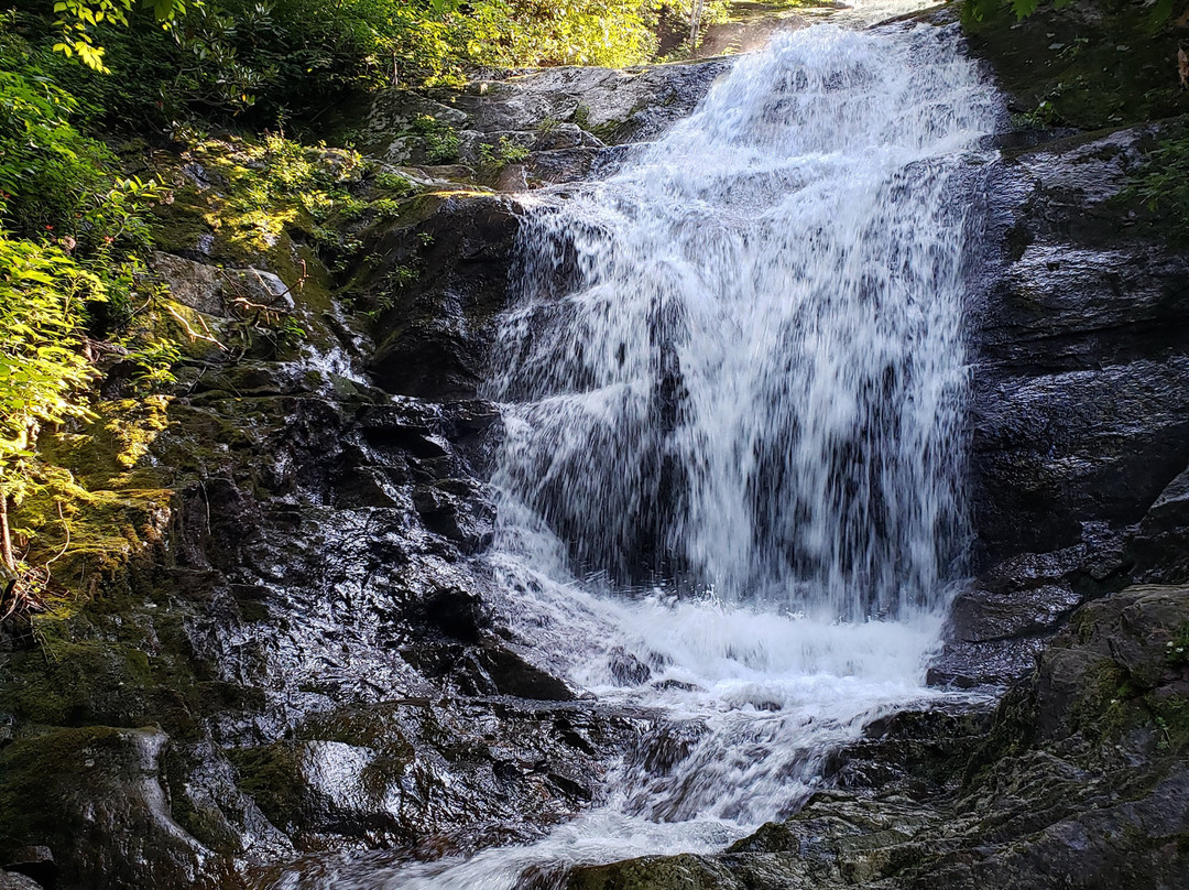 Walker Falls景点图片