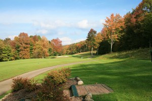 Mel Sole Golf School景点图片