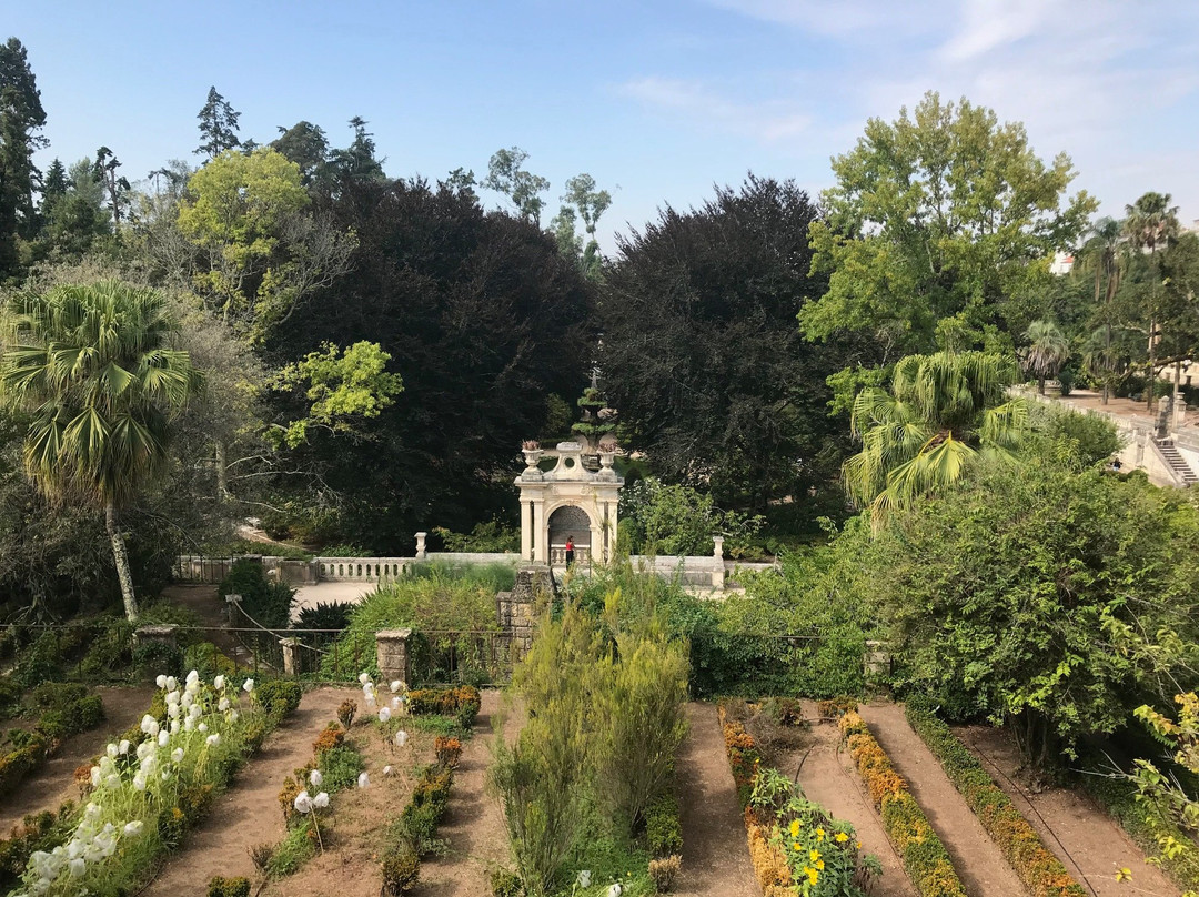 Jardim Botanico景点图片
