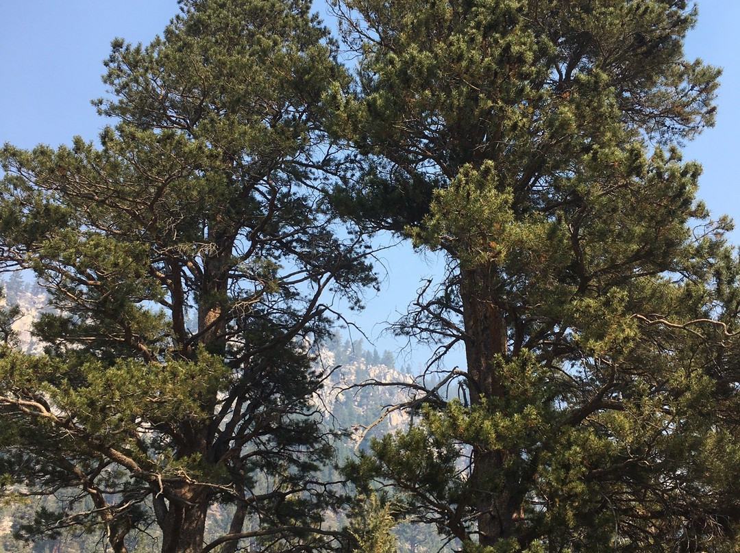 Hope Valley Outdoors景点图片