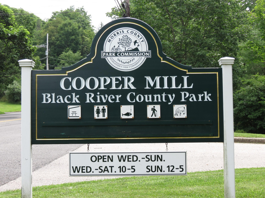 Black River County Park景点图片