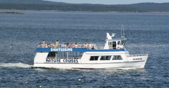 Acadian Boat Tours景点图片