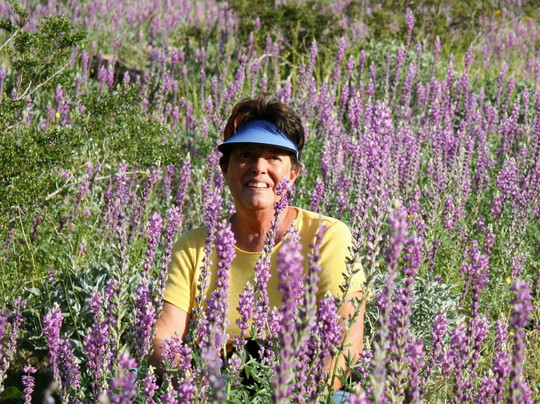 Tallgrass Hiking and Tours-棕榈沙漠必去景点