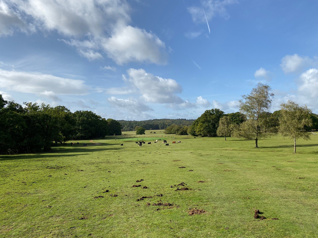 Bramshaw Golf Club景点图片