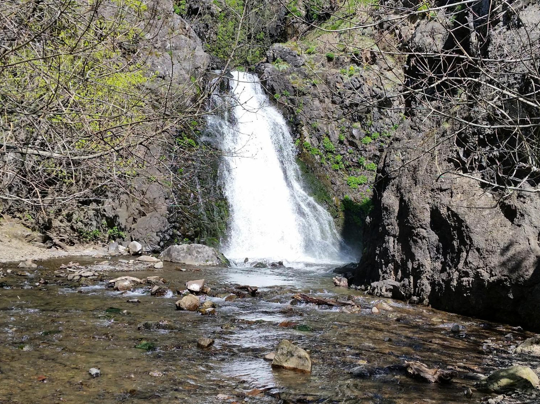 Dog Creek Falls景点图片