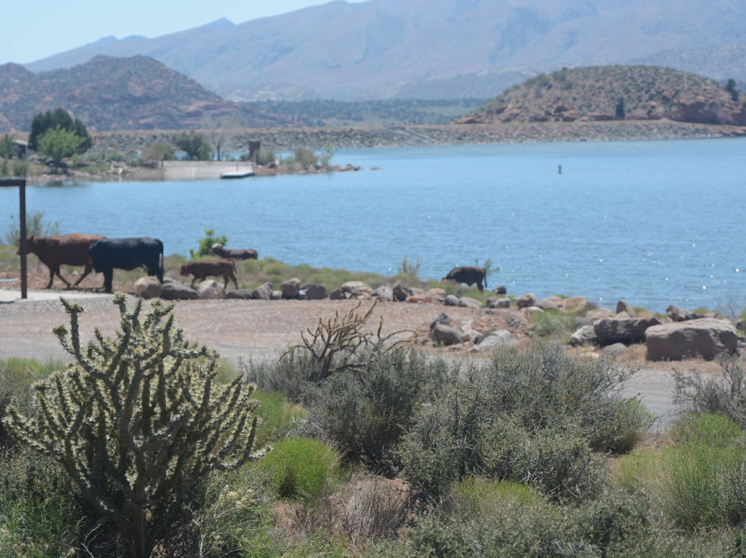 Central旅游景点-Gunlock State Park