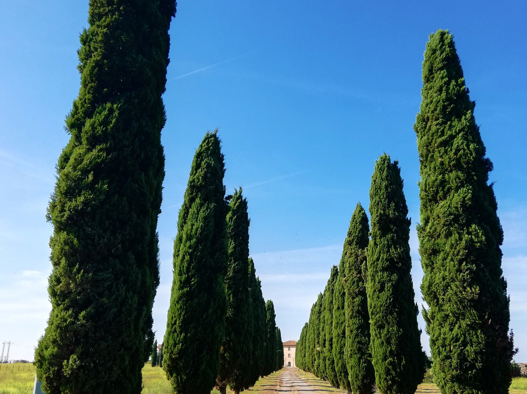 Villa di Sette Bassi - Parco Archeologico dell'Appia Antica-罗马必去景点
