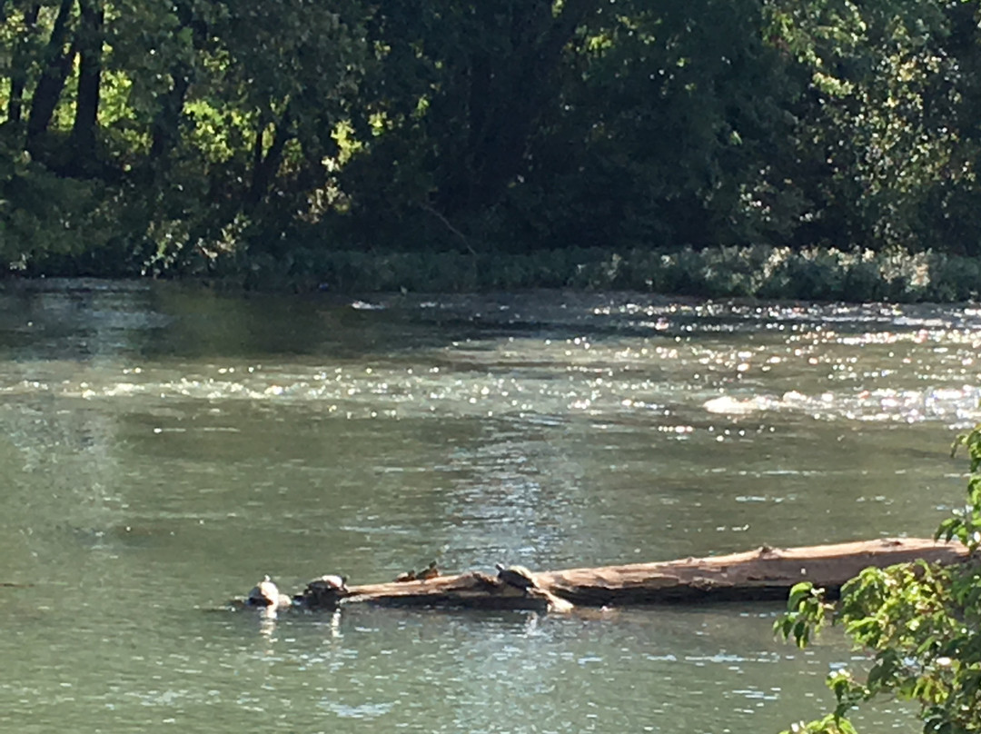 National Audubon Society-乔普林必去景点