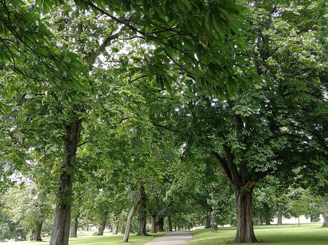 Christchurch Park景点图片