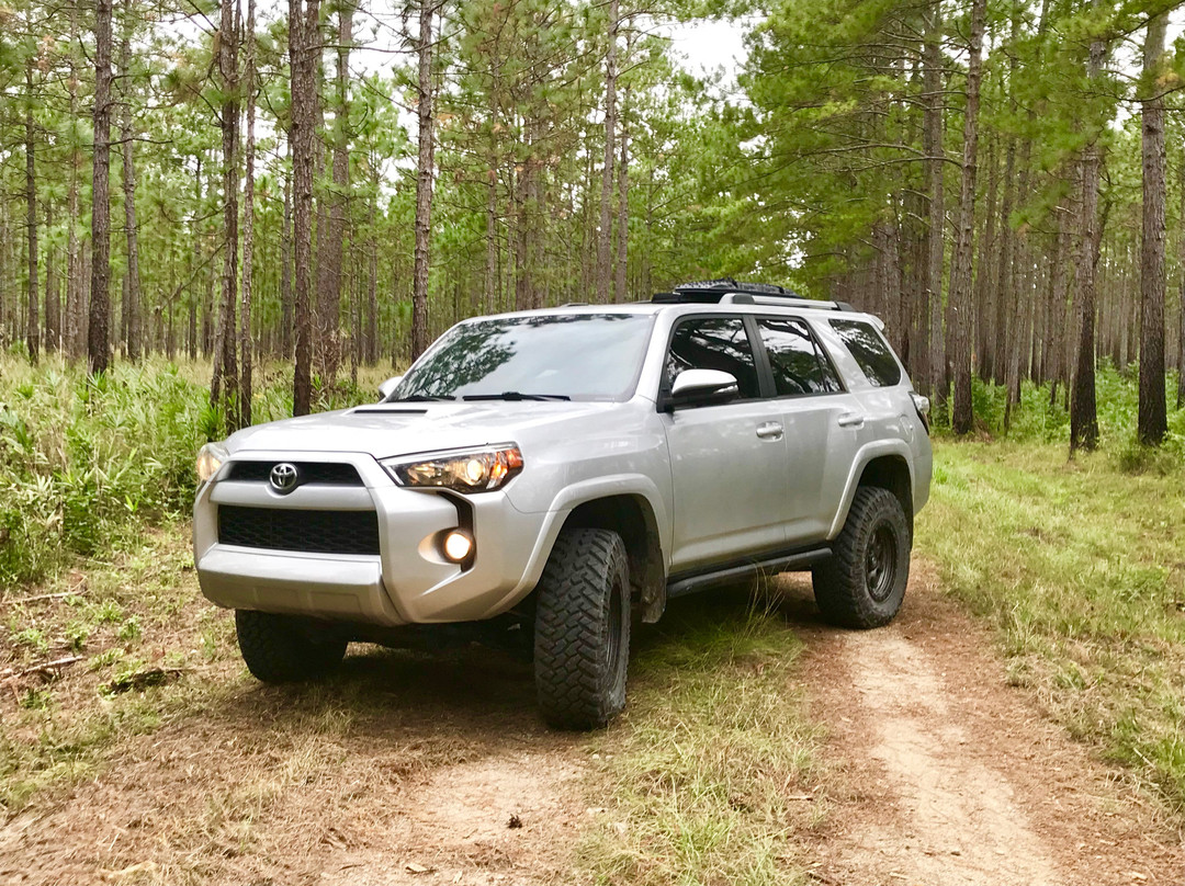 Francis Marion National Forest-Huger必去景点