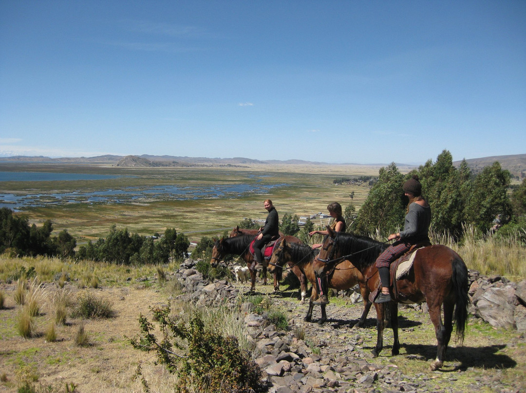 Centro Hipico Lago Titicaca-Chucuito必去景点
