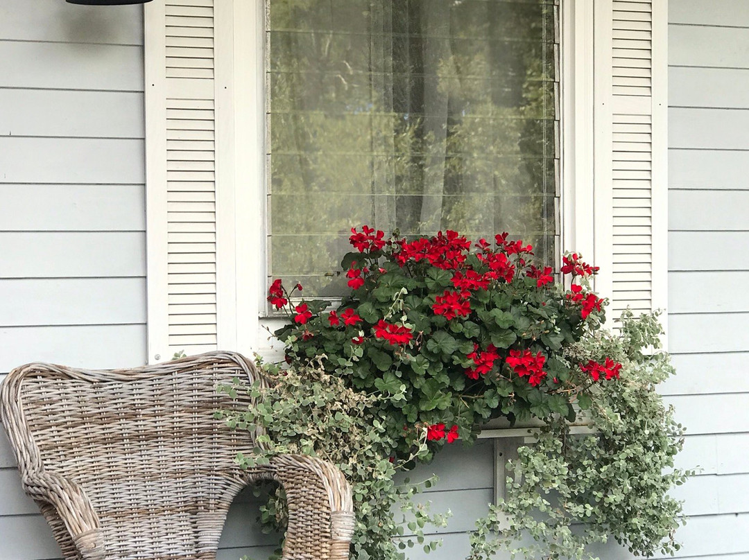 Treehouse Lodge主图