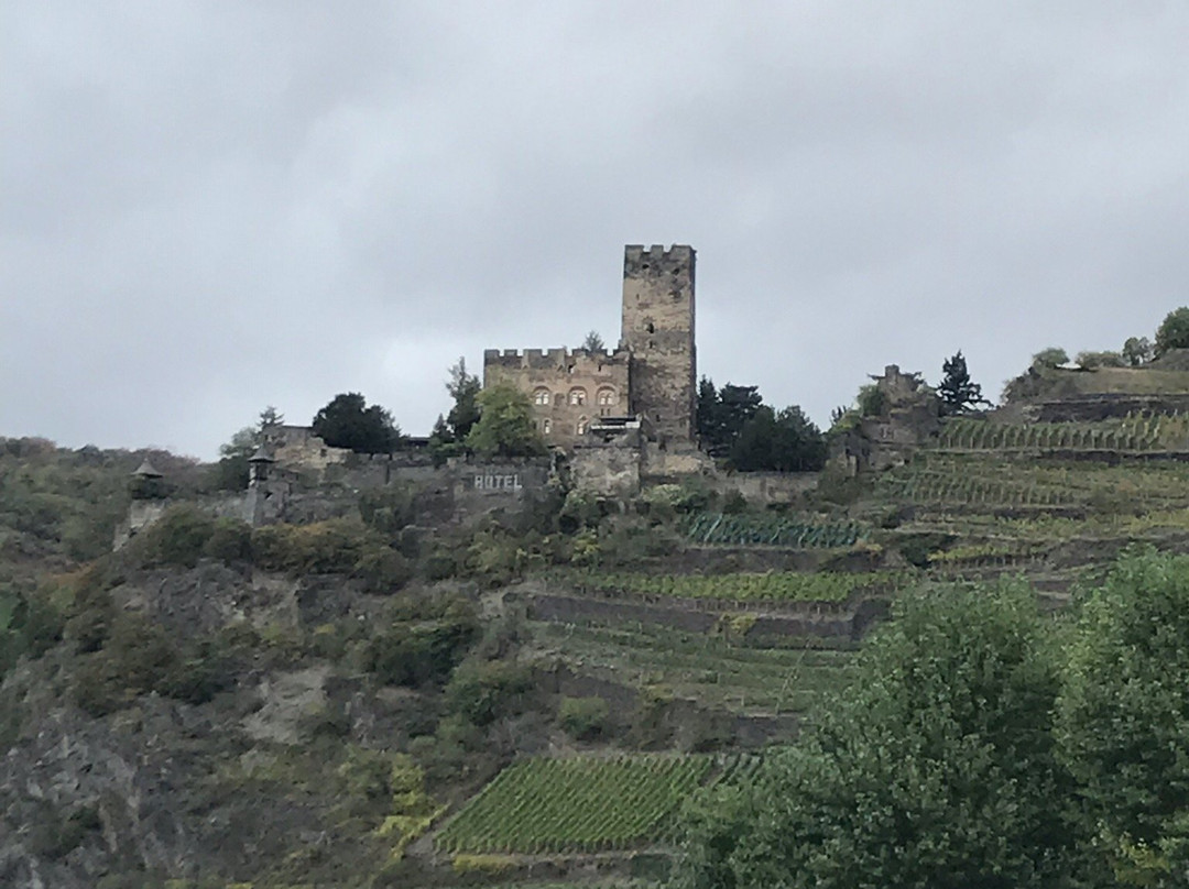 Rhine River Day Cruises-莱茵河畔宾根必去景点