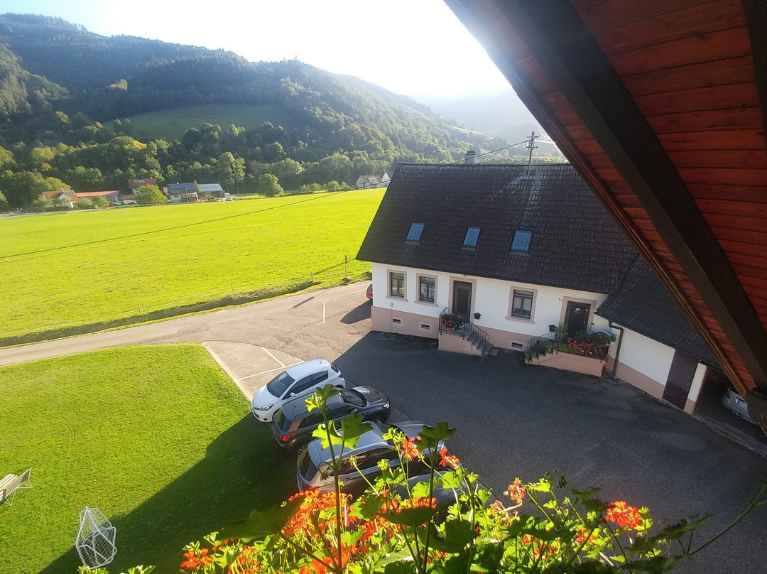 Schiebenrothenhof主图