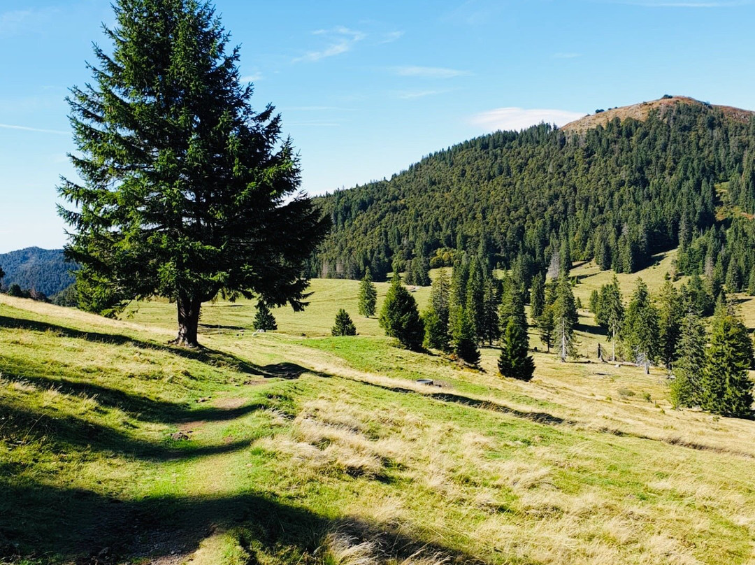 Hochtal Steig-Bernau im Schwarzwald必去景点