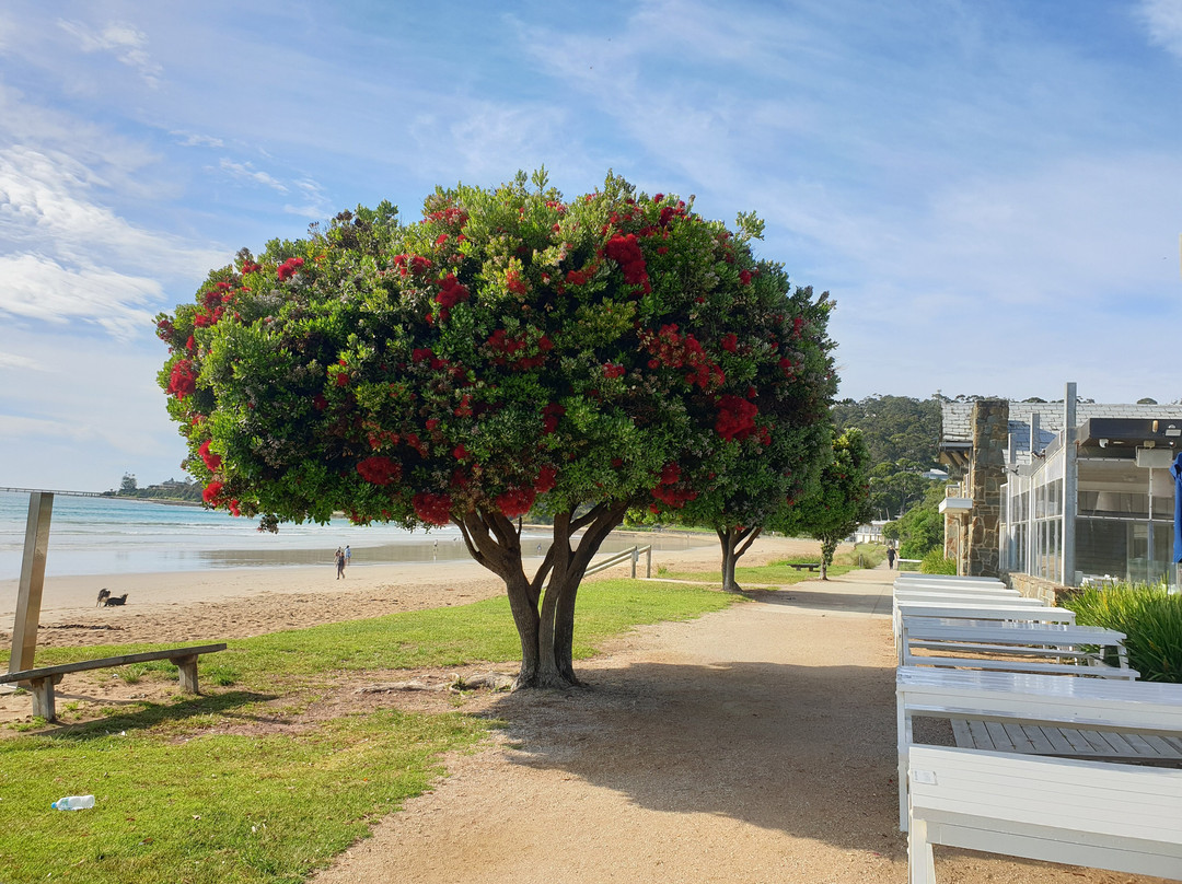 Doug Stirling Walking Track-洛恩必去景点