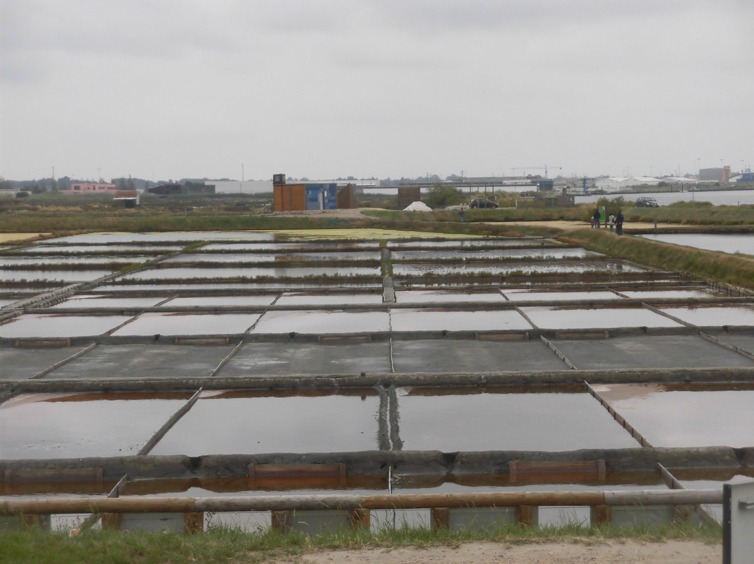 The Aveiro Salines景点图片
