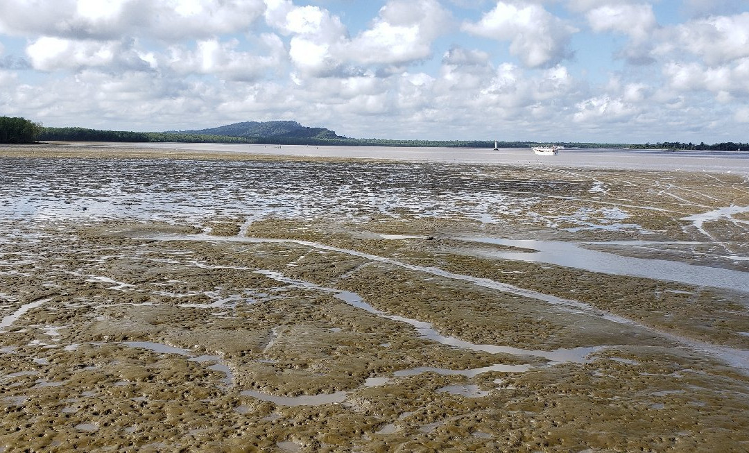 Vieux Port-卡宴必去景点