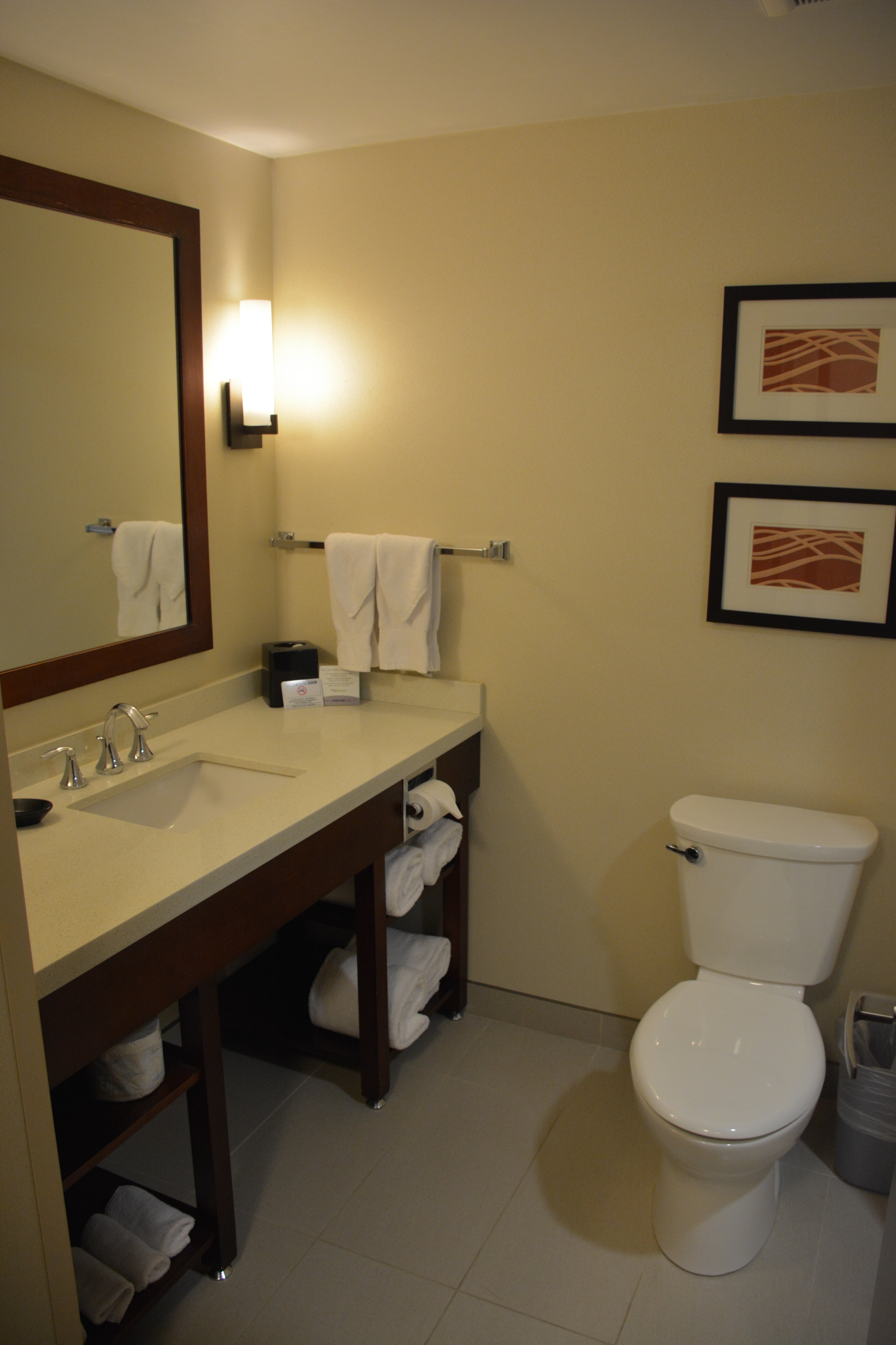 Comfort Inn & Suites Edmonton International Airport-浴室