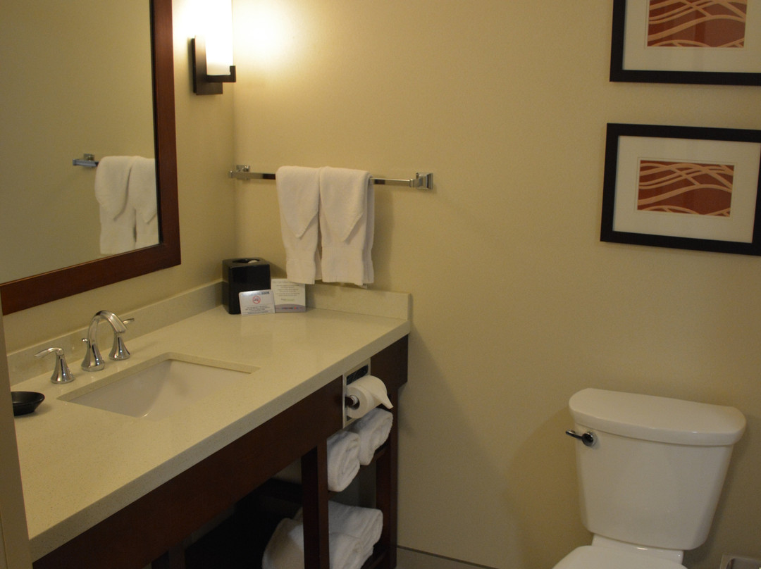 Comfort Inn & Suites Edmonton International Airport主图