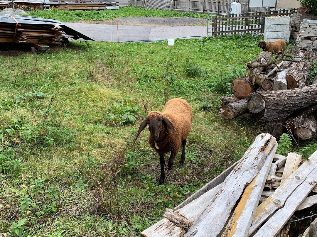 Refugio Laudegg主图