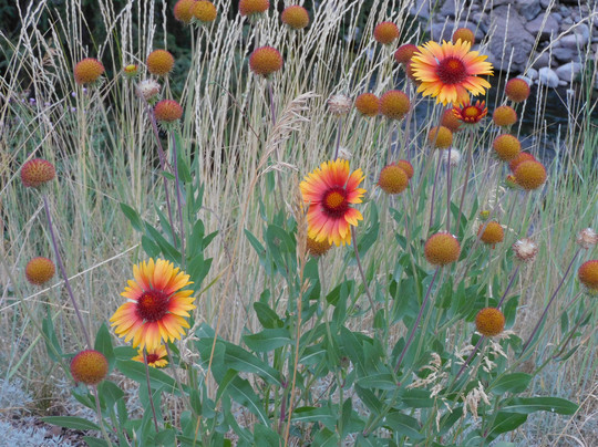 Marriott's Streamside Evergreen At Vail主图