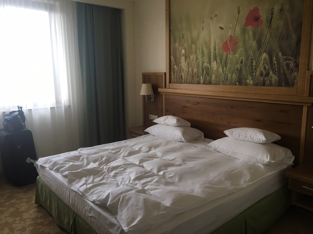 Hotel Sonnenhof主图