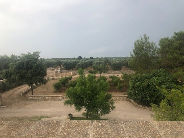 Masseria Scurpiti
