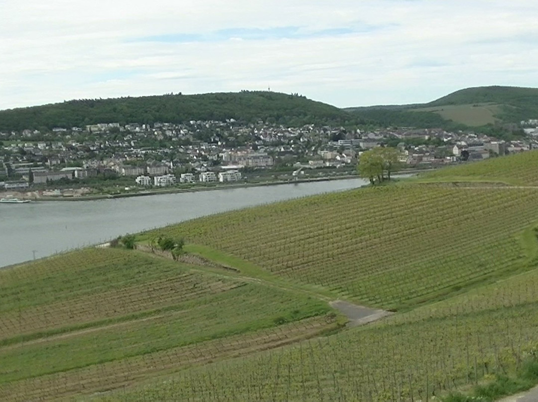 Ruedesheimer Berg "Roseneck "-吕德斯海姆必去景点