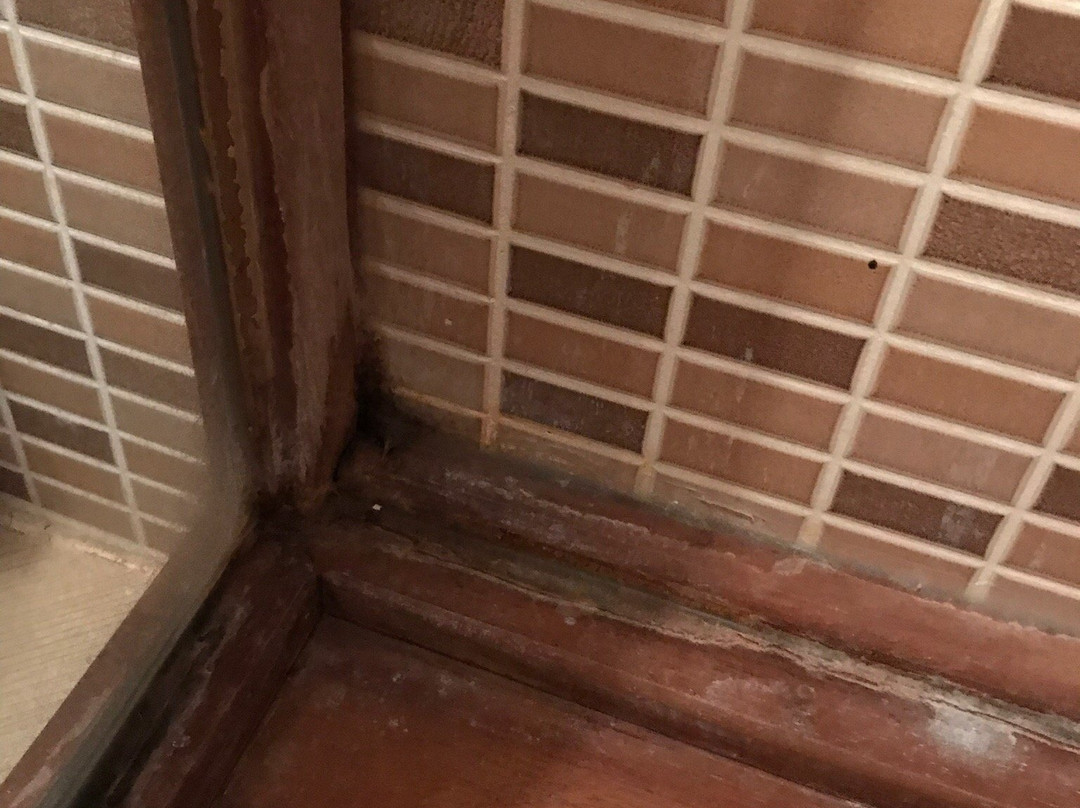 Mihran Hanim Konagi主图