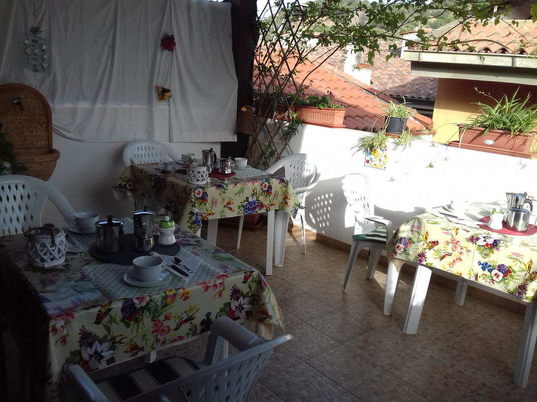 Canne Al Vento