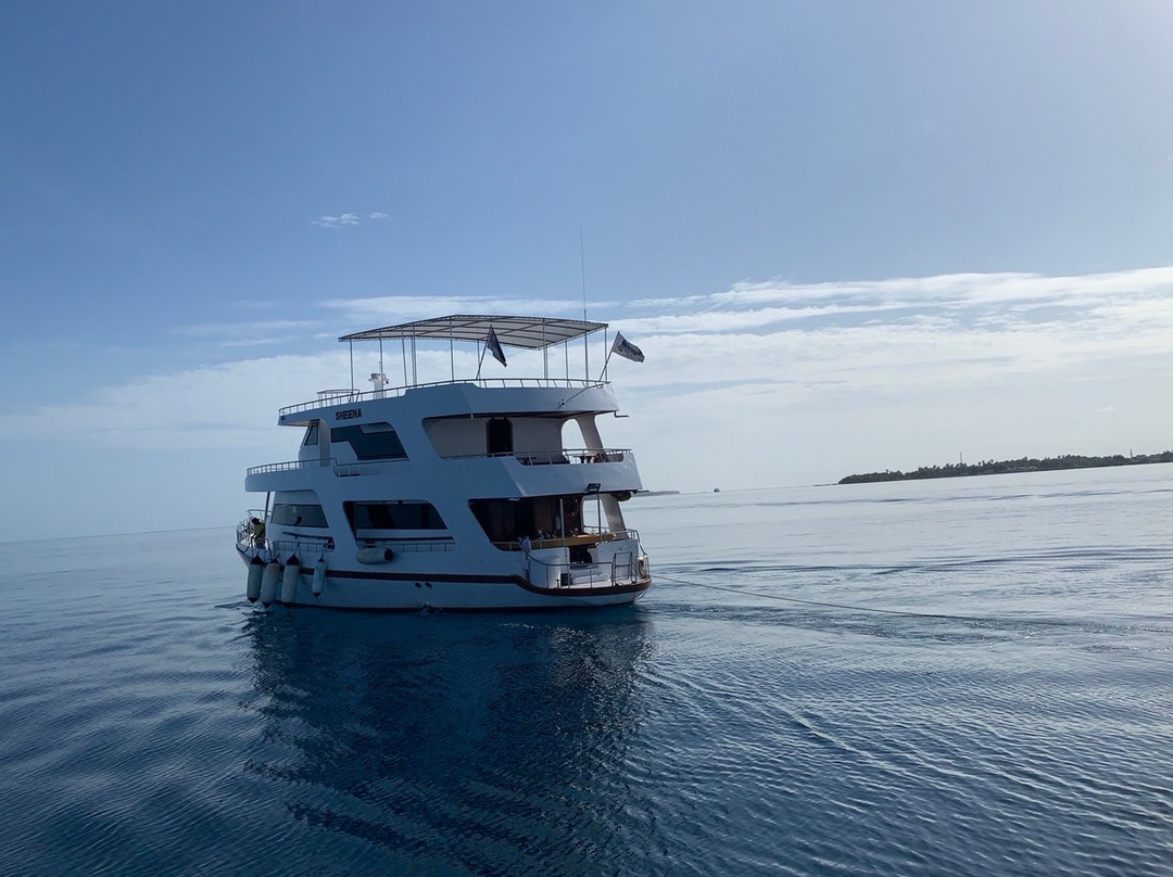 MY Sheena-菲利兹优岛必去景点