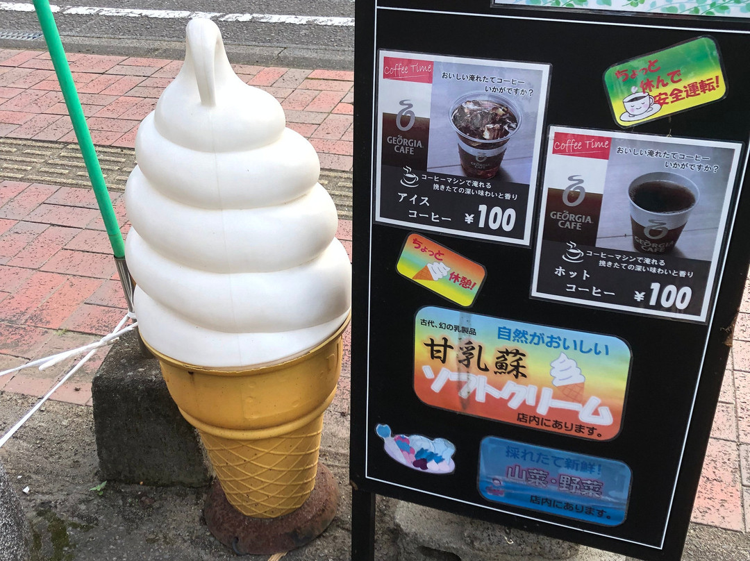 Yamanokuchi Michi-no-Eki-都城市必去景点