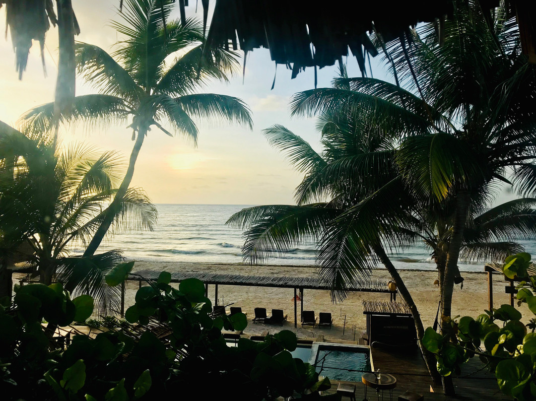 Amansala Yoga And Wellness Resort主图