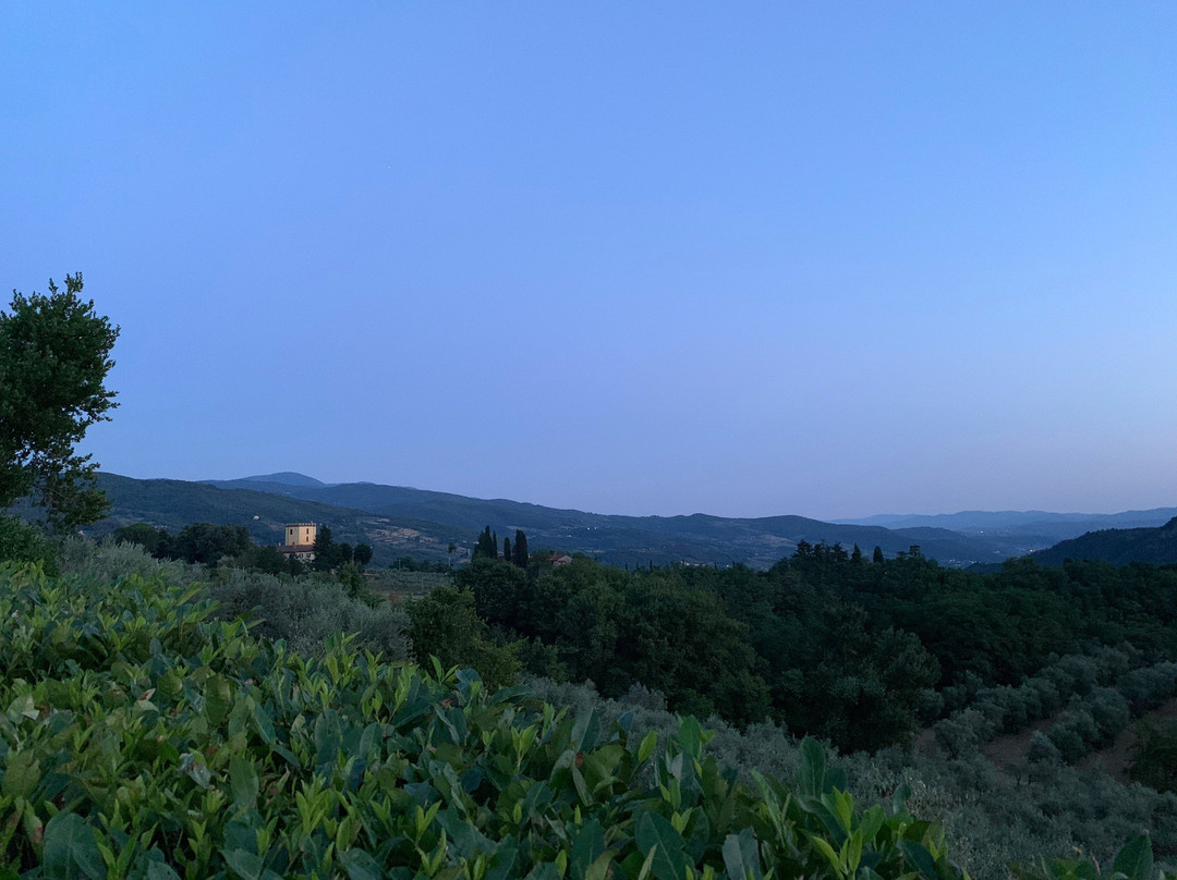 Agriturismo Colognole主图