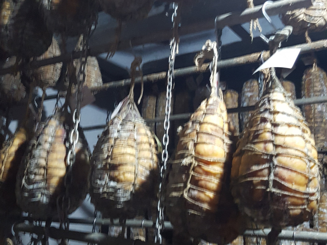 Azienda Agricola Bre del Gallo景点图片