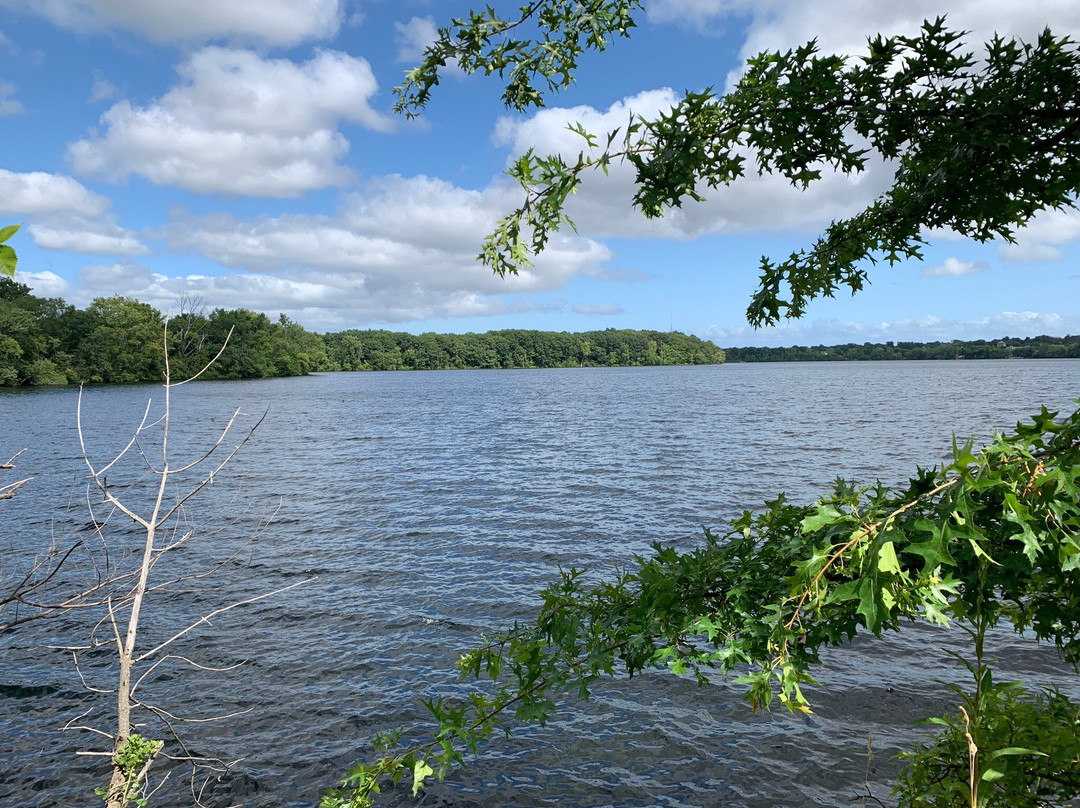 Fresh Pond Reservation景点图片