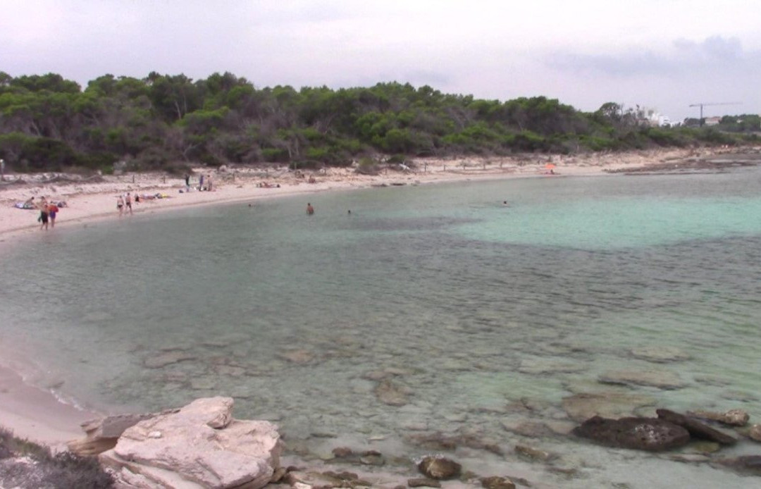 Platja Es Peregons-Campos必去景点