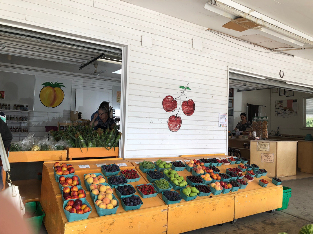 2023年11月Peach King Fruit Stand景点攻略Peach King Fruit Stand门票预订地址图片