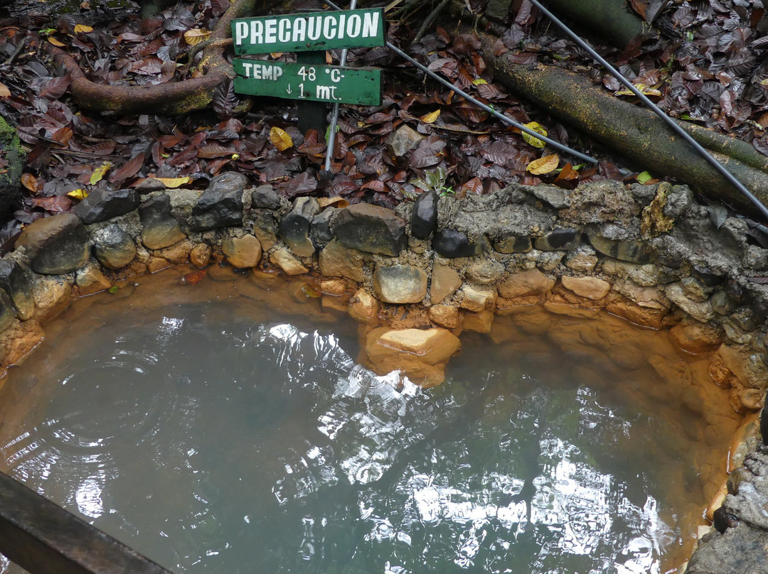 Termales del Bosque Hot Springs-San Rafaeillo必去景点
