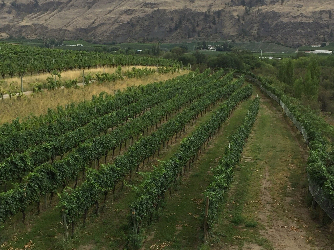 Platinum Bench Estate Winery景点图片