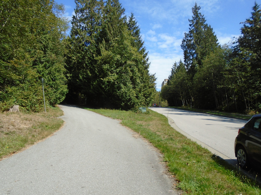 Byrne Creek Ravine Park-本那比必去景点