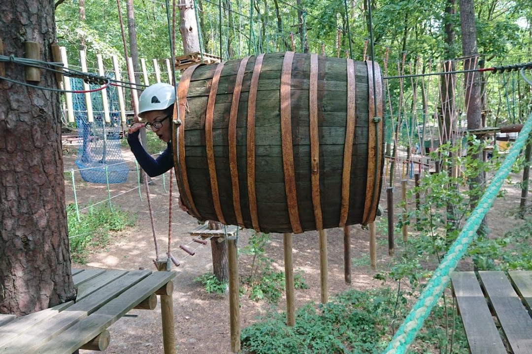 Tarzania High Rope Park景点图片