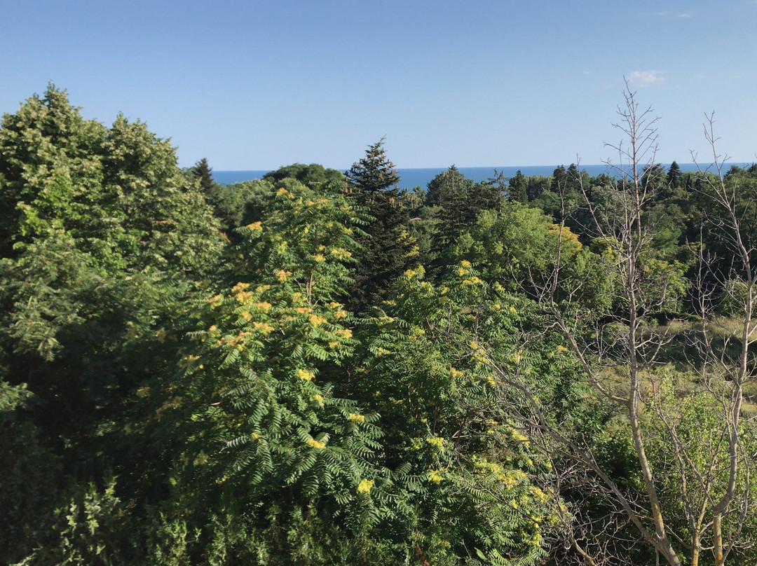 Hotel Elit Palace and Spa主图