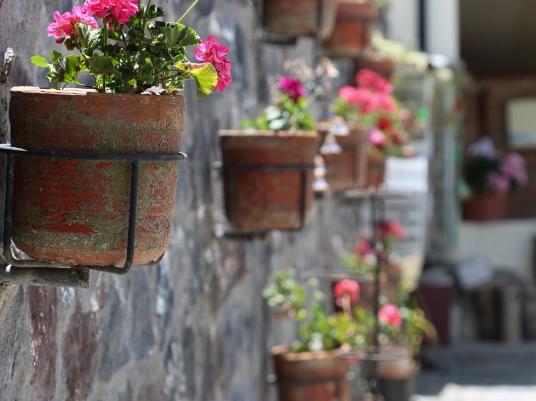 Hacienda San Isidro De Iltaqui主图