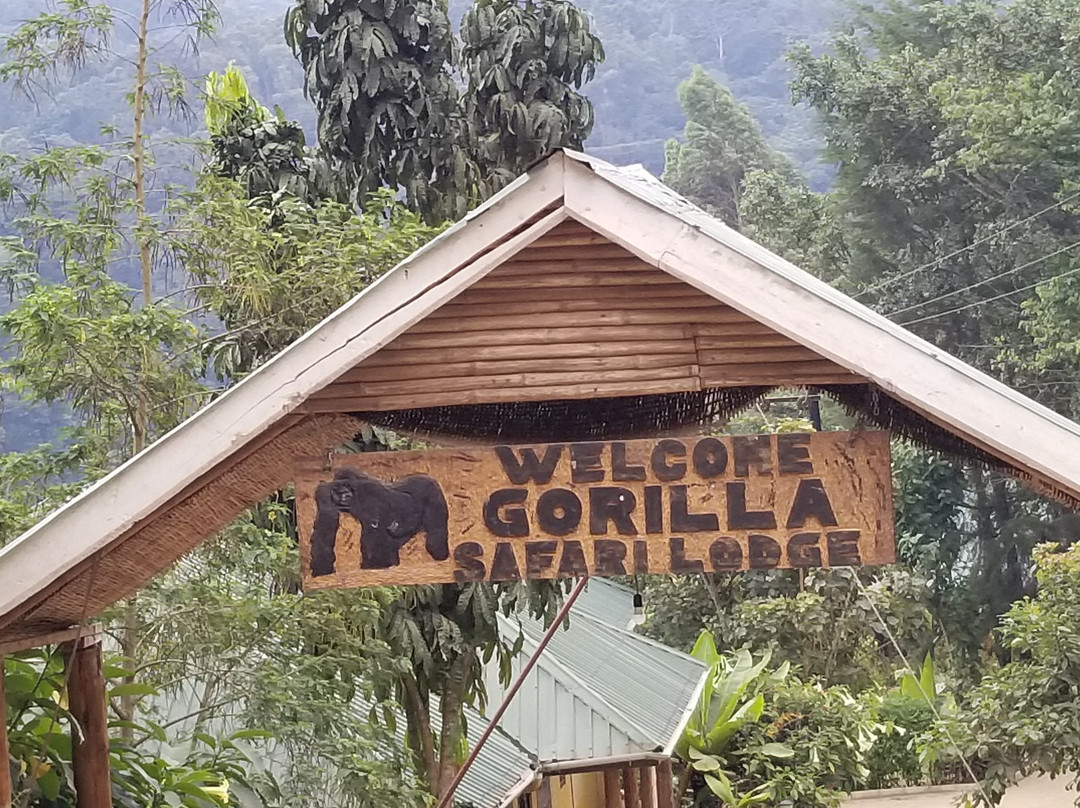 Gorilla Safari Lodge主图