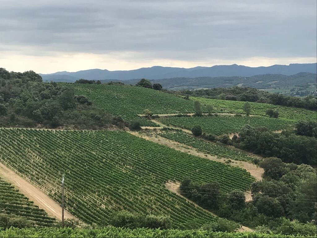 Domaine la Coume-Lumet-Cepie必去景点