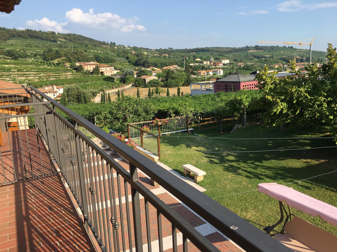 Agriturismo La Bella Vigna主图