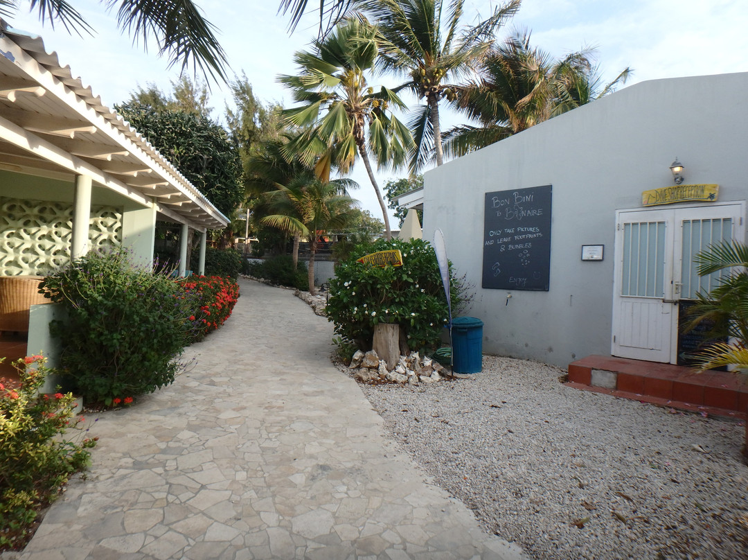 博内尔加勒比俱乐部主图