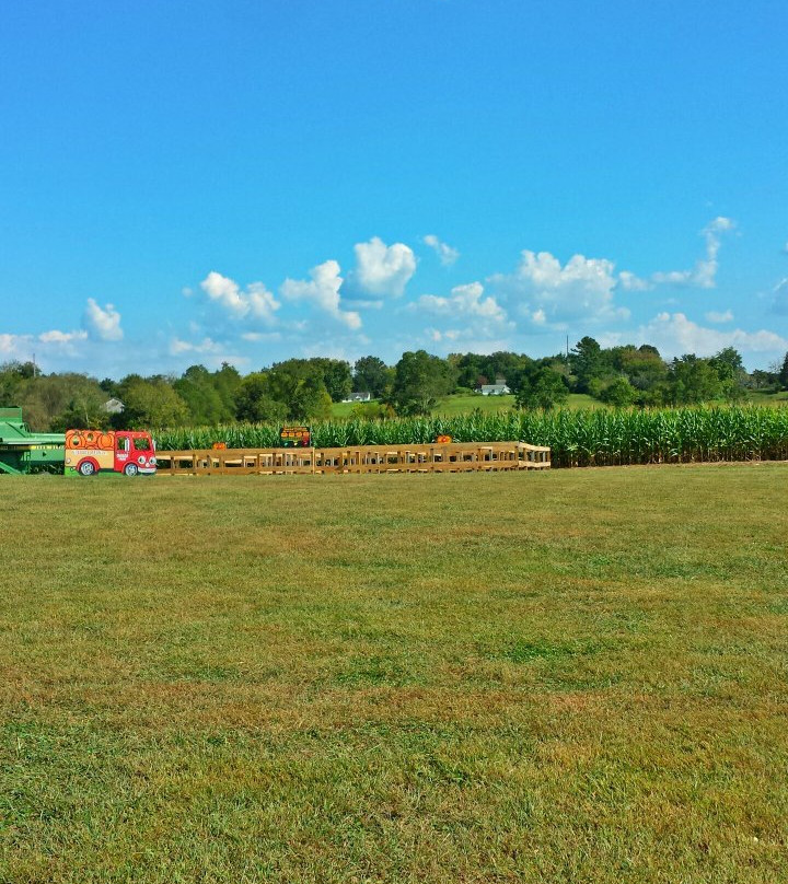 Oakes Farm Corn Maze-Corryton必去景点